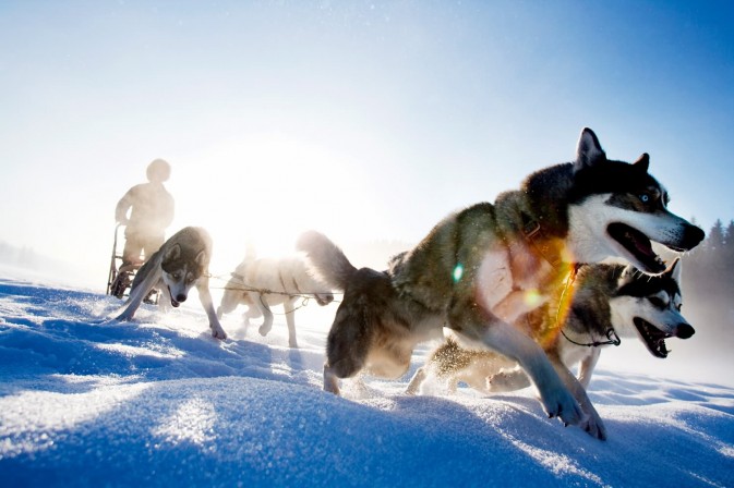 冬季貝加爾,適合享受冰上運動,狗拉雪橇、雪上摩托車、雪地徒步等都是不錯的選擇 F5.6,1/115秒