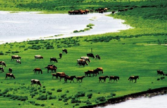 　　處處翠色欲流,馬兒自然入畫?！? complete=