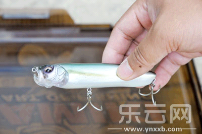 　　又稱擬餌釣魚,起源于歐洲,國內(nèi)翻譯為“路亞”。