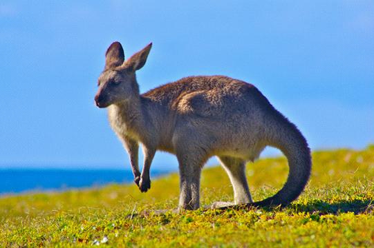 全家出國(guó)游去哪里？推薦十佳旅游勝地