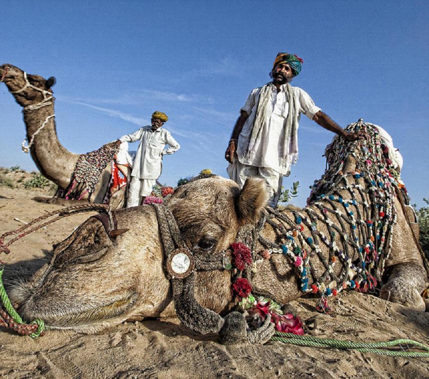 全家出國(guó)游去哪里？推薦十佳旅游勝地