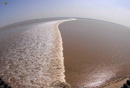 春汛大潮期 聽(tīng)潮錢(qián)塘江