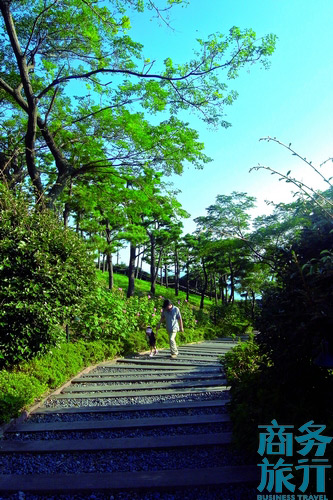 很多父母會(huì)帶著孩子在步行道漫步。