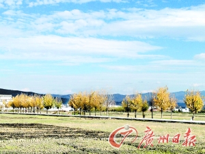 　　大理洱海湖畔美麗的鄉(xiāng)村景色。