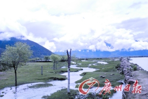 小路的一側(cè)是小溪,另一側(cè)是河流。