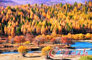 　　呼倫貝爾秋色。