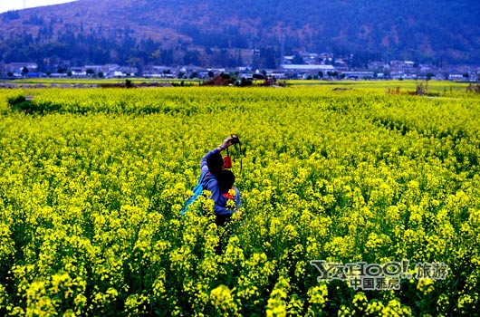 　　不論從人文氣息還是田園自然風(fēng)光,都值得我們?？俊?圖片來源:CFP)