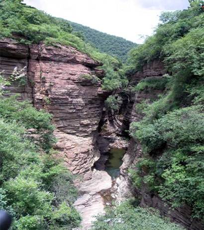 看天下第一洞天賞千年銀杏 看天下第一洞天賞千年銀杏