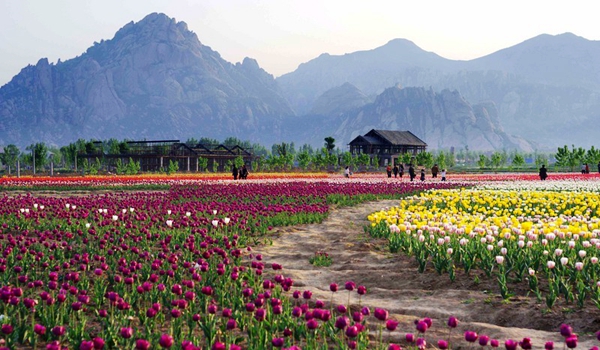 別樣蜜月，河南最適宜新婚度假的景區(qū)