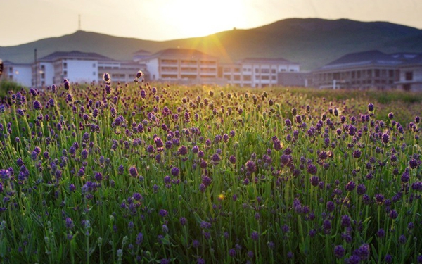 別樣蜜月，河南最適宜新婚度假的景區(qū)