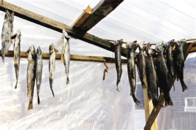 長(zhǎng)白山腳下一家小餐館內(nèi)晾曬的冷水魚。