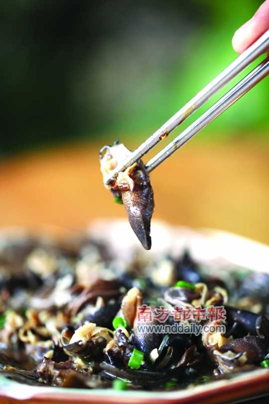 蒜蓉粉絲蒸蝸牛。