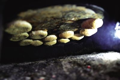 吊爐燒餅是黃驊最典型的面食之一，這種手藝在一些老院子里已經(jīng)傳承了上百年時間。