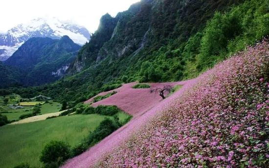 云南的另一個(gè)天堂 我約你一起去！