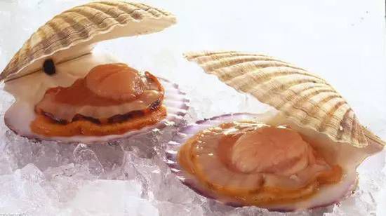 秋季最適合吃的海鮮是這10種 你吃對(duì)了嗎？