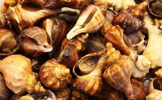 秋季最適合吃的海鮮是這10種 你吃對(duì)了嗎？