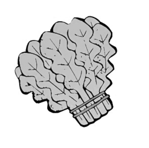 雪后菜價(jià)瘋漲15倍？沒(méi)恁夸張 元旦豬肉雞蛋或漲價(jià)