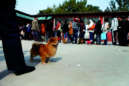 辦證點排起長隊 辦證點排起長隊