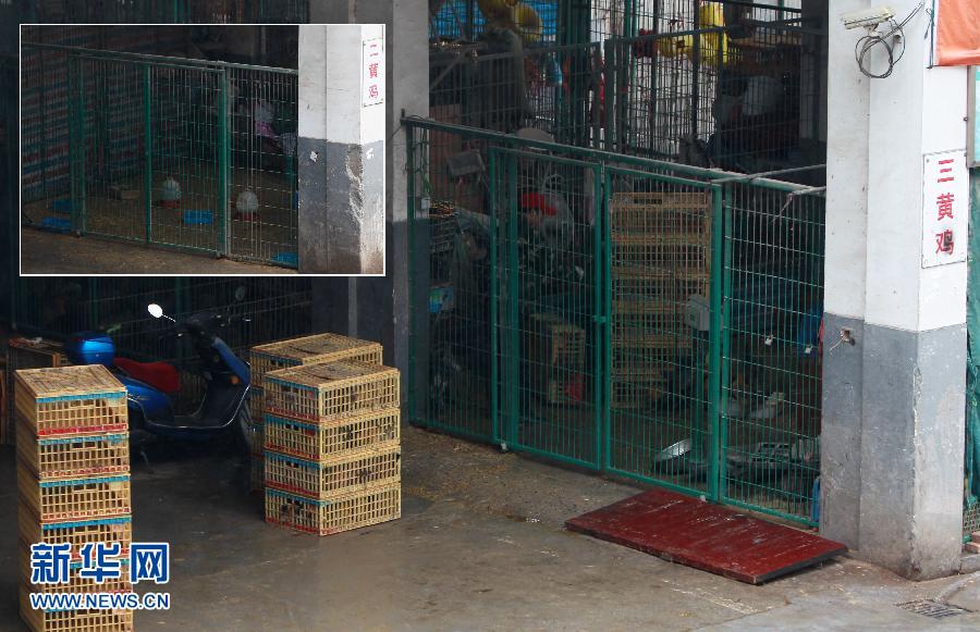 上海6日起暫?；钋萁灰?關(guān)閉所有活禽交易市場