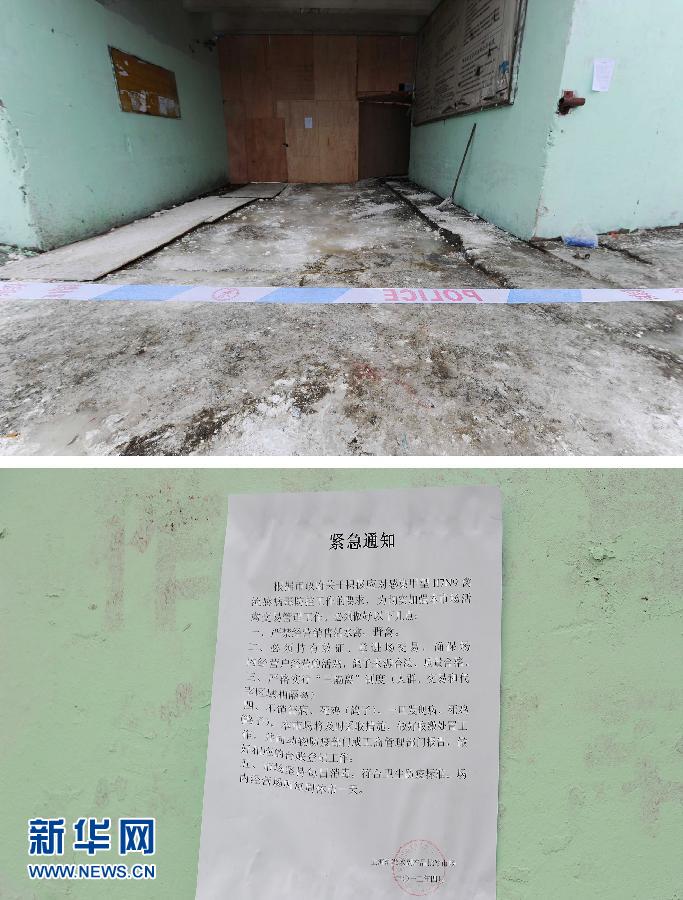 上海6日起暫?；钋萁灰?關(guān)閉所有活禽交易市場