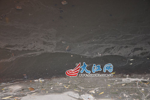 19日晚上的玉帶河，紅色河水變回灰綠色。