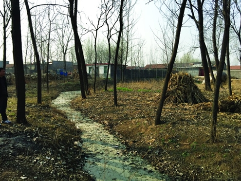 486臺兒莊戰(zhàn)役將士埋骨荒野 紀(jì)念設(shè)施或年內(nèi)落成 486臺兒莊戰(zhàn)役將士埋骨荒野 紀(jì)念設(shè)施或年內(nèi)落成