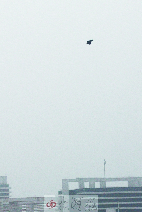 全省35個縣市發(fā)布惡劣天氣預警信號，其中15個發(fā)布大霧紅色預警