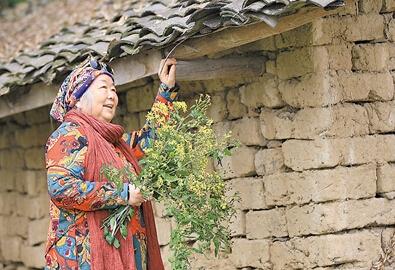 公式“時尚奶奶”的賞花照，收獲了好多人的點贊。 受訪者供圖