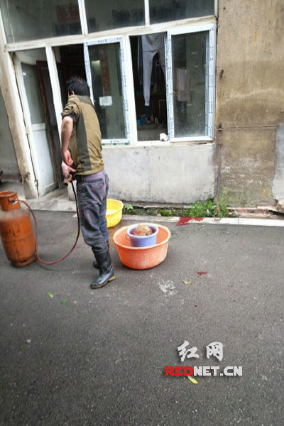 5月8日，男子在校園里殺狗，地上殘留一塊血跡。目擊者供圖。