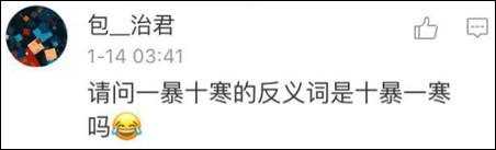 鶴立雞群？雞立鶴群！