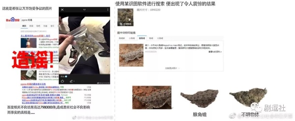 PGone又教給我們一個新詞：虐粉。