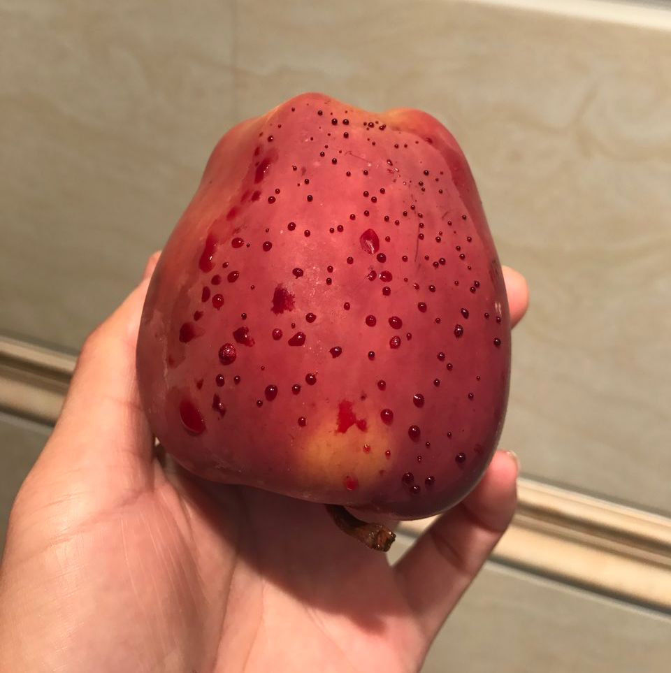嚇懵！女子用熱水泡蘋果結(jié)果冒出血珠 咋回事？