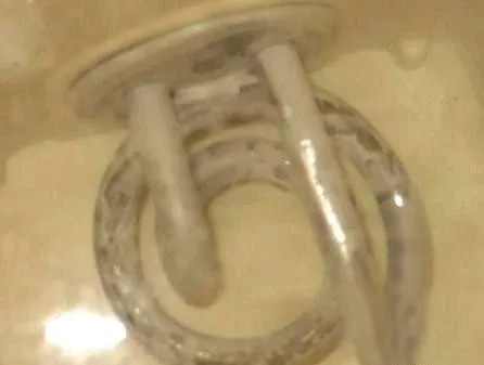 太惡心！女游客竟用酒店燒水壺煮自己的臟內(nèi)褲