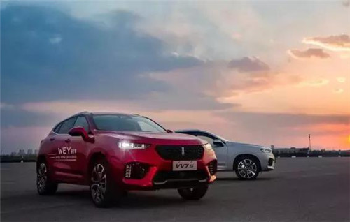 去年“蹦”出來的新汽車品牌們，現(xiàn)在活得怎么樣了？