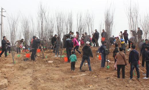 植樹活動(dòng)開始將一棵棵綠色愛心深埋泥土