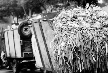 垃圾車、渣土車再在市區(qū)“裸奔”就是違法了