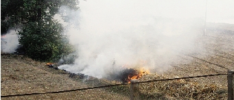 鄭州深陷“霾”伏   都是燒秸稈惹的禍？