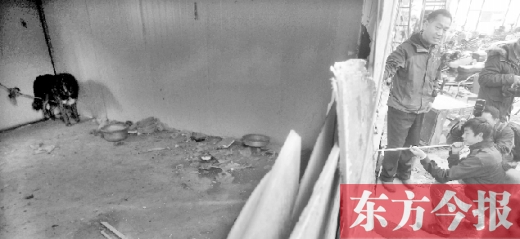 12月4日，鄭州市未來路與隴海路交叉口西側(cè)，執(zhí)法人員用吹管麻醉針對(duì)付一只藏獒