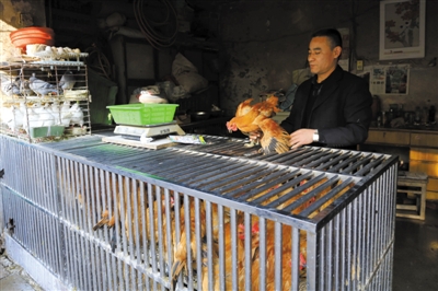 南京另一家農(nóng)貿(mào)市場內(nèi)待售的活雞。因南京出現(xiàn)H7N9禽流病例，買活雞的顧客減少。