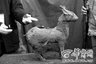 一件似羊似鹿的犧尊華麗亮相，可愛(ài)的造型“萌翻”現(xiàn)場(chǎng)。