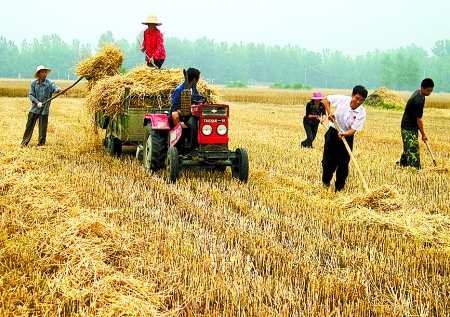 6月1日，舞鋼市礦建街道張我莊村幫扶隊員在幫村民收秸稈。