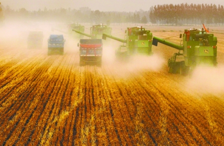 田里，一臺臺收割機唱著豐收歌。