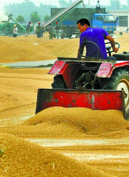 精心晾曬，散倉入庫。