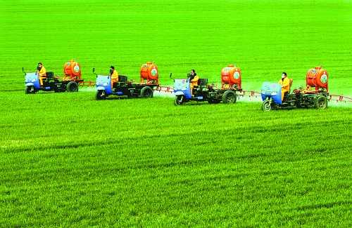 車載噴霧機(jī)奔駛在萬畝高產(chǎn)田里。