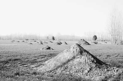 淮陽(yáng)縣豆門(mén)鄉(xiāng)倒栽槐村尚未平遷墳頭的農(nóng)田 淮陽(yáng)縣豆門(mén)鄉(xiāng)倒栽槐村尚未平遷墳頭的農(nóng)田