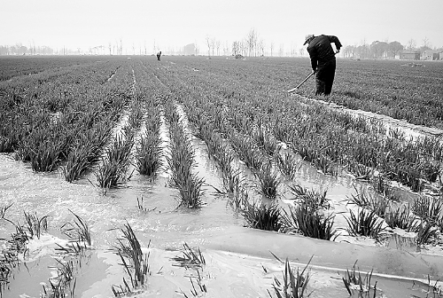 3月25日，濮陽縣郎中鄉(xiāng)大趙寨村農(nóng)民在為小麥澆水。連日來，濮陽縣廣大農(nóng)民不誤農(nóng)時，及時為麥田施肥、澆