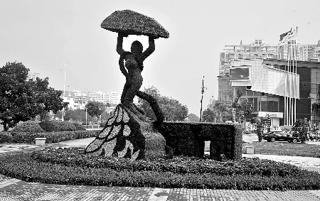 8月28日，南陽街頭繁花似錦，市民宛若行走在花海之中。
