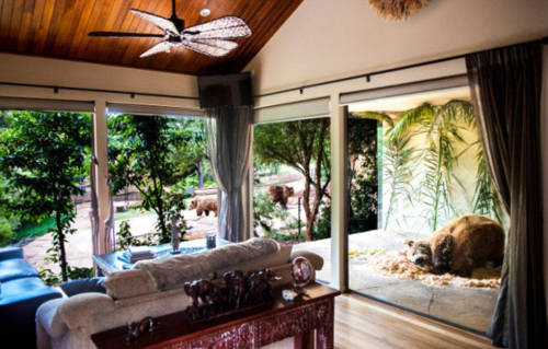 澳洲動(dòng)物園中開旅館 親密接觸野生動(dòng)物 澳洲動(dòng)物園中開旅館 親密接觸野生動(dòng)物