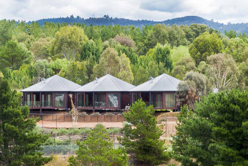 澳洲動(dòng)物園中開旅館 親密接觸野生動(dòng)物 澳洲動(dòng)物園中開旅館 親密接觸野生動(dòng)物