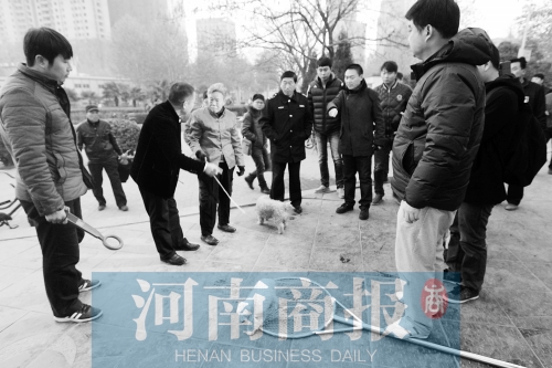 一只辦過(guò)狗證的小白狗，因?yàn)闆](méi)有拴犬鏈，被執(zhí)法人員暫扣